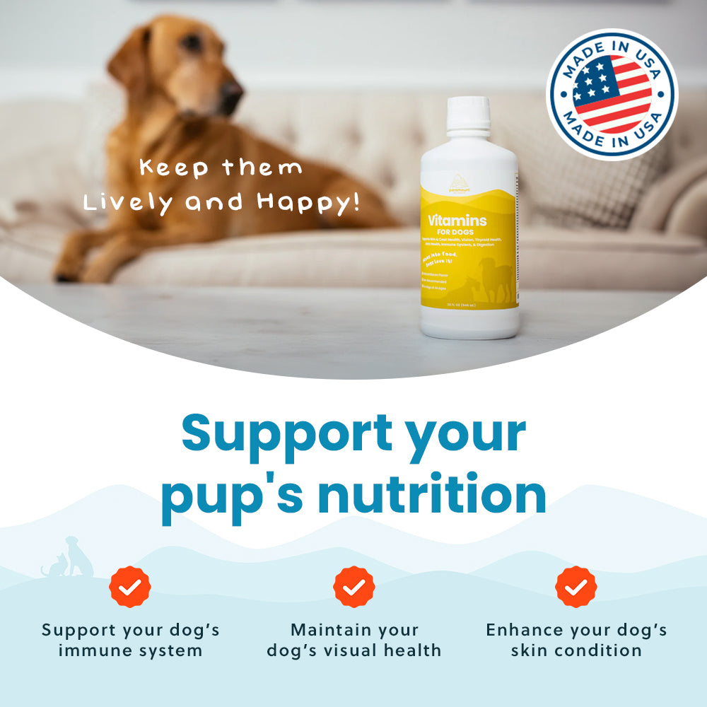Liquid Vitamins for Dogs