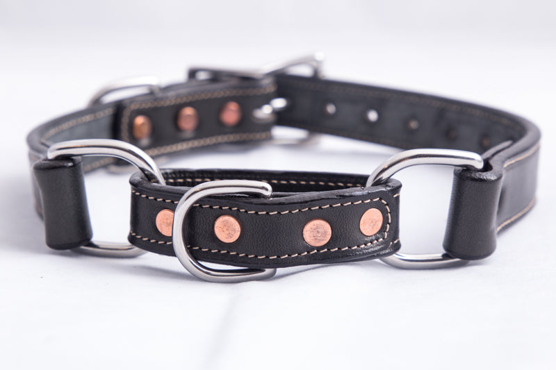 Martingale Collar