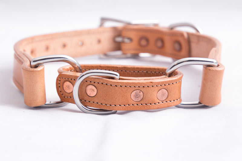 Martingale Collar