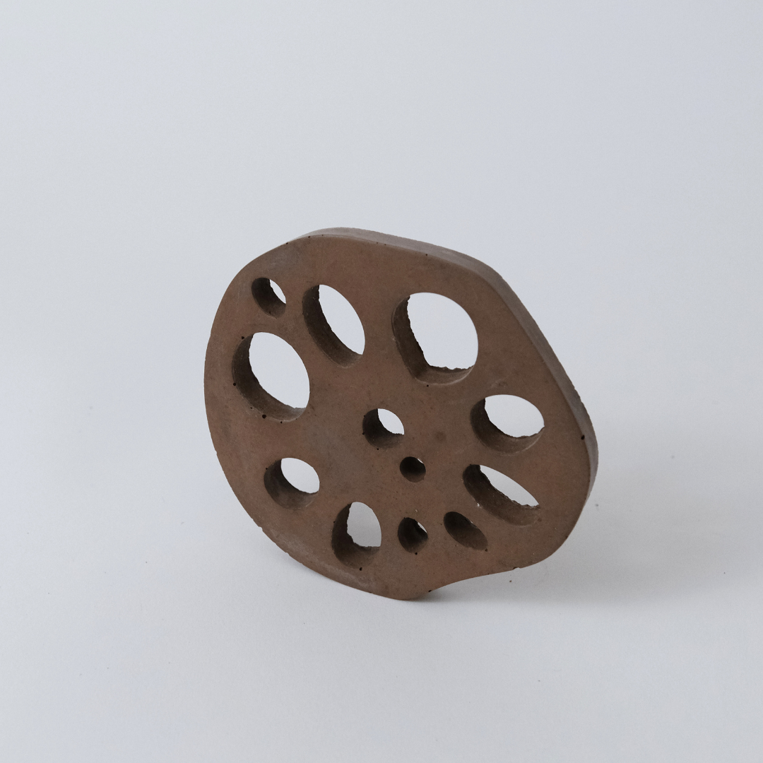 Lotus Root Coaster