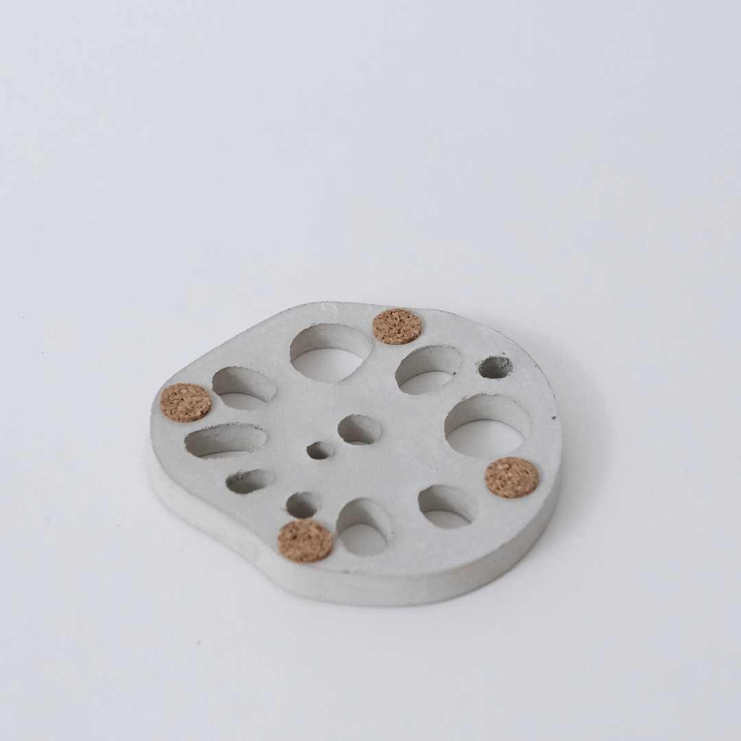 Lotus Root Coaster