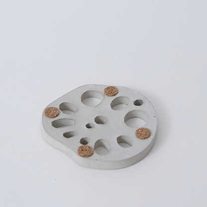Lotus Root Coaster