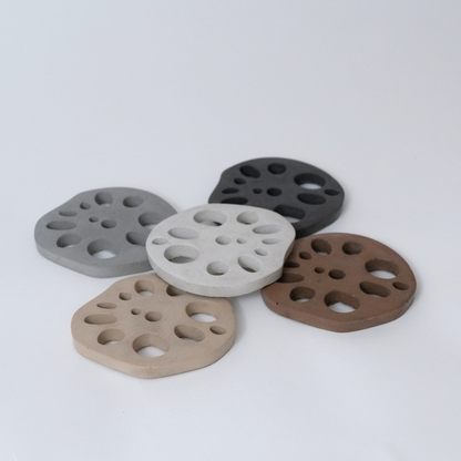 Lotus Root Coaster