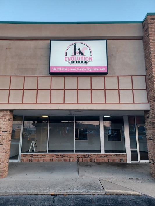 Evolution Dog Training