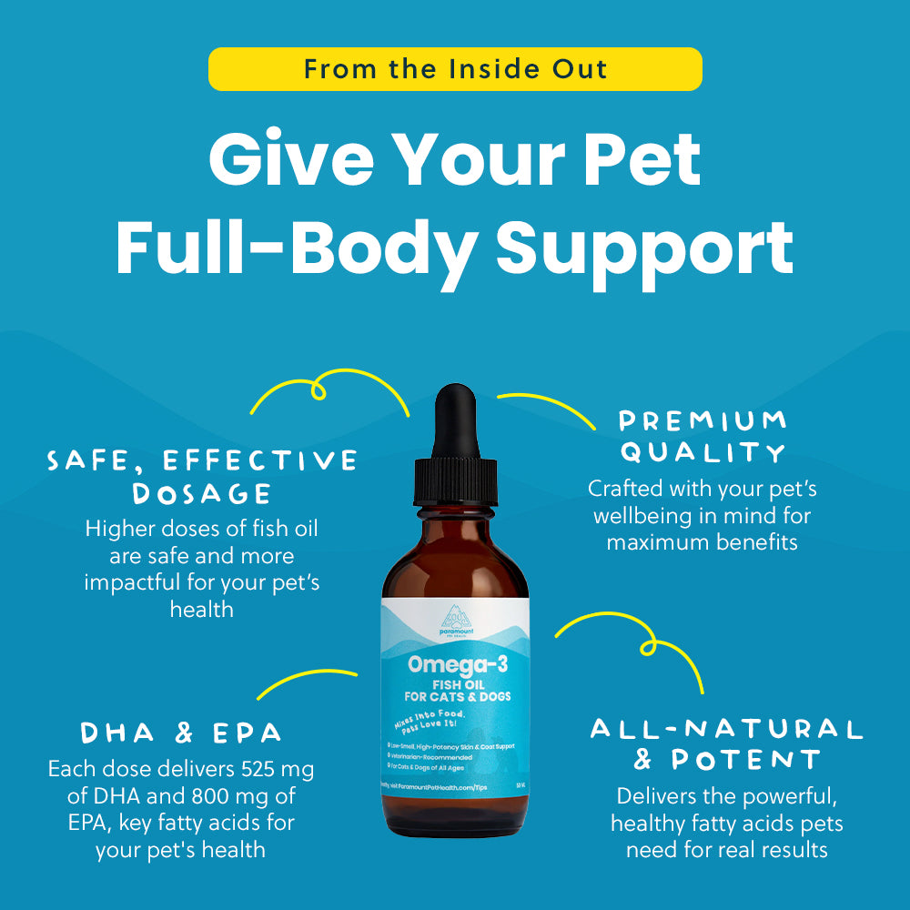 Omega-3 Fish Oil for Cats and Small Dogs