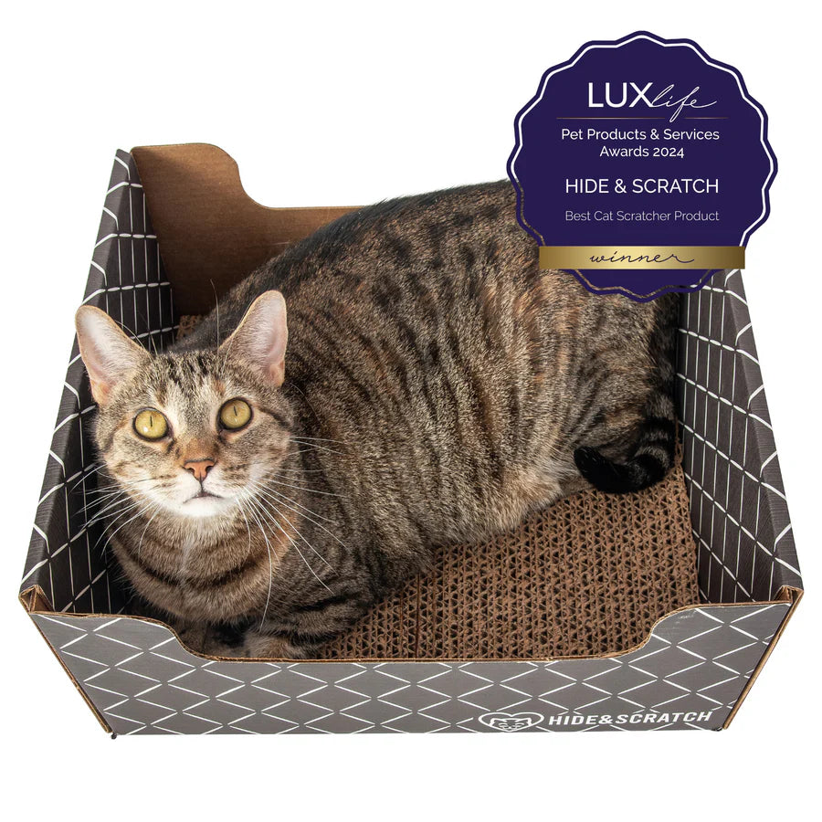 Hide & Scratch Extra-Large Cat Scratcher Box Value Pack (Box + 3 Scratchers) (Case of 7)