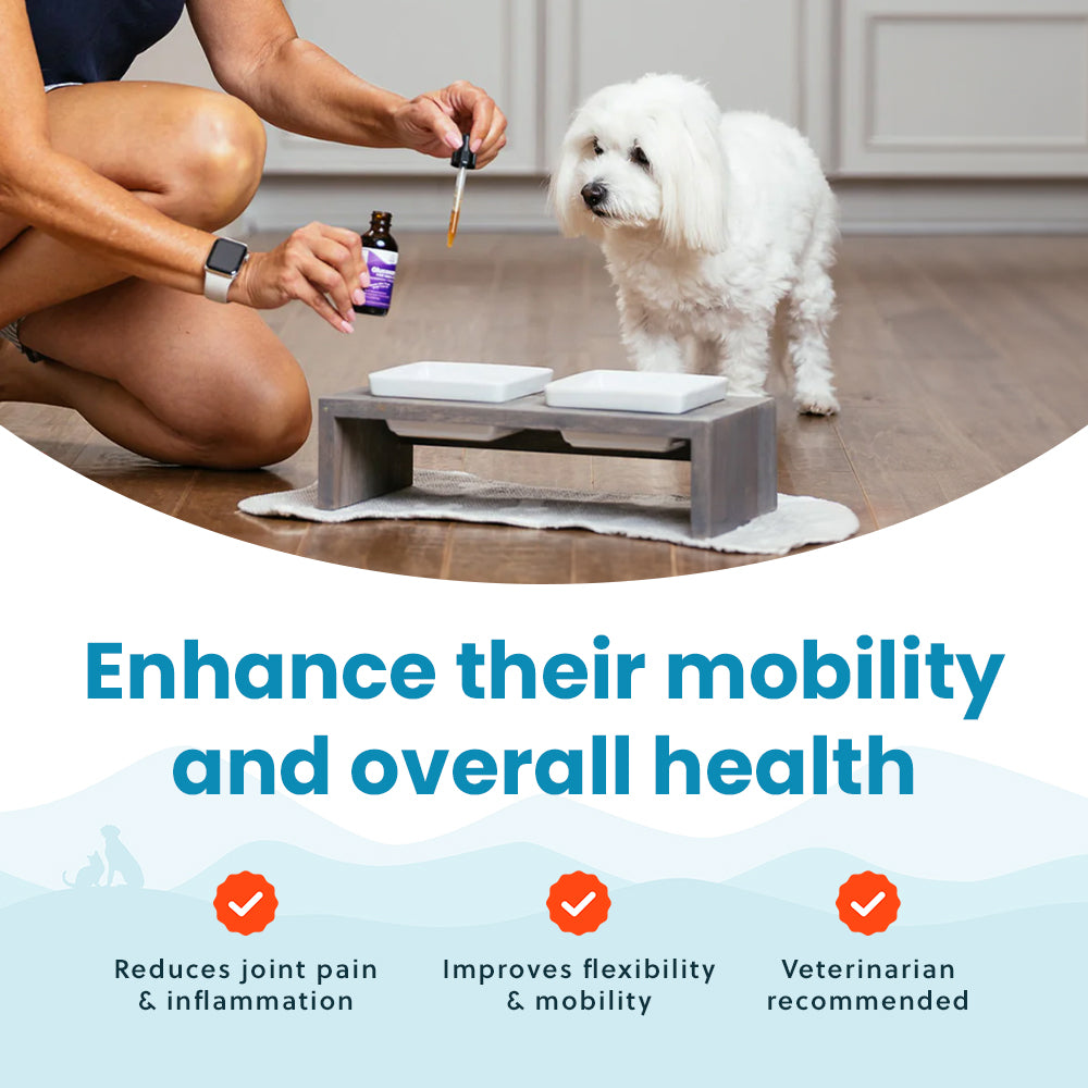 Liquid Glucosamine For Small Dogs