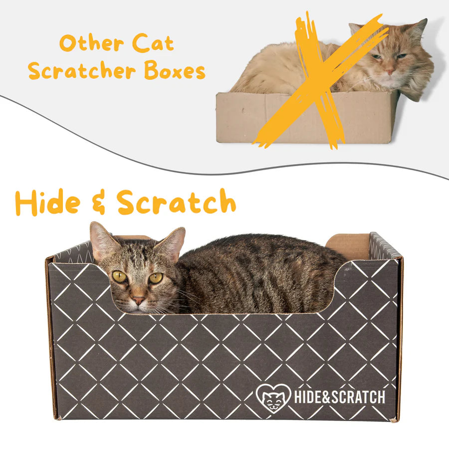 Hide & Scratch Extra-Large Cat Scratcher Box Value Pack (Box + 3 Scratchers) (Case of 7)