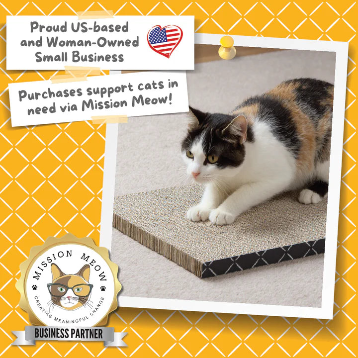 Scratch Pad Refills for Hide & Scratch Box (or use on their own)(Case of 14)