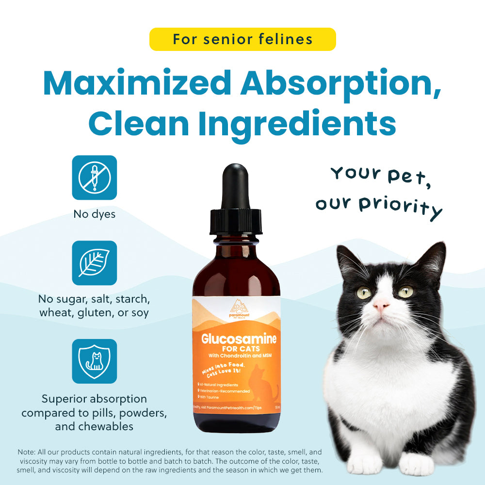 Liquid Glucosamine For Cats