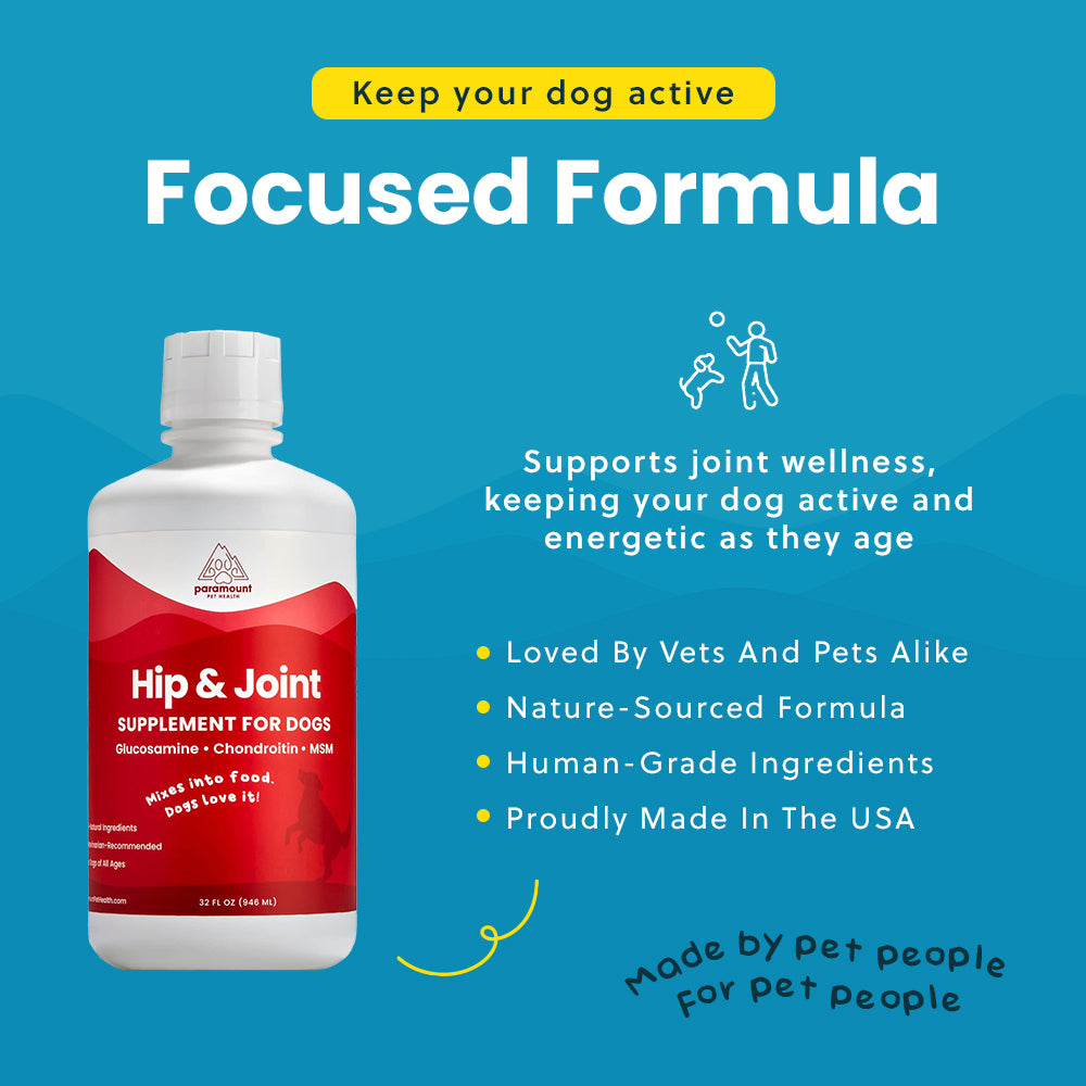 Liquid Glucosamine for Dogs