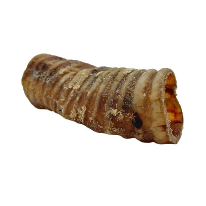 6” Beef Trachea Dog Treats (2 per Bag) – All-Natural, High Protein Chews