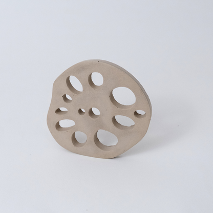 Lotus Root Coaster