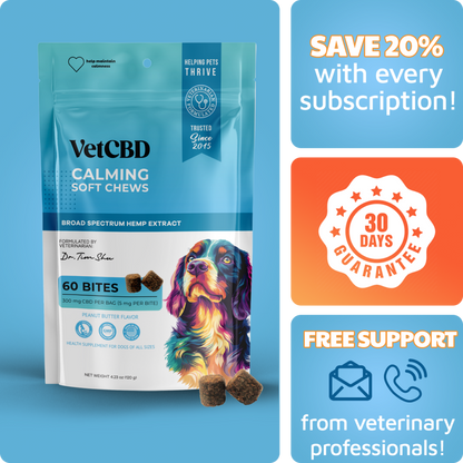 CBD Calming Chews for Dogs