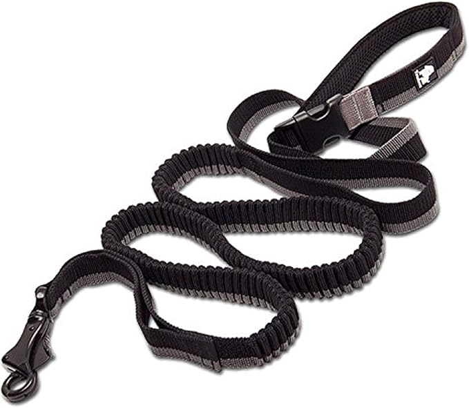 Truelove Nylon Bungee Dog Leash - TLL2271