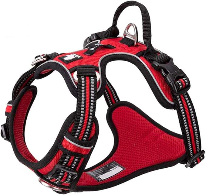 TRUE LOVE Dog Harness - TLH56512