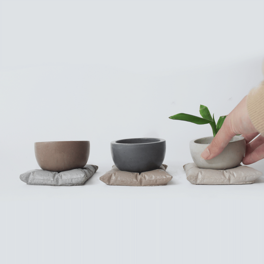 Pillow Planter Set - Mix & Match