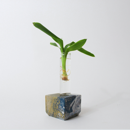 Cubic Propagation Station