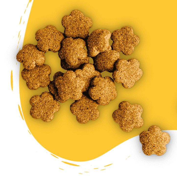 You've seen the treats. Here's how they get on your shelf.