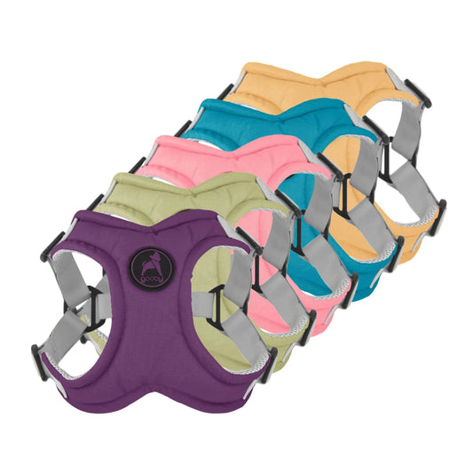 Elite Harness