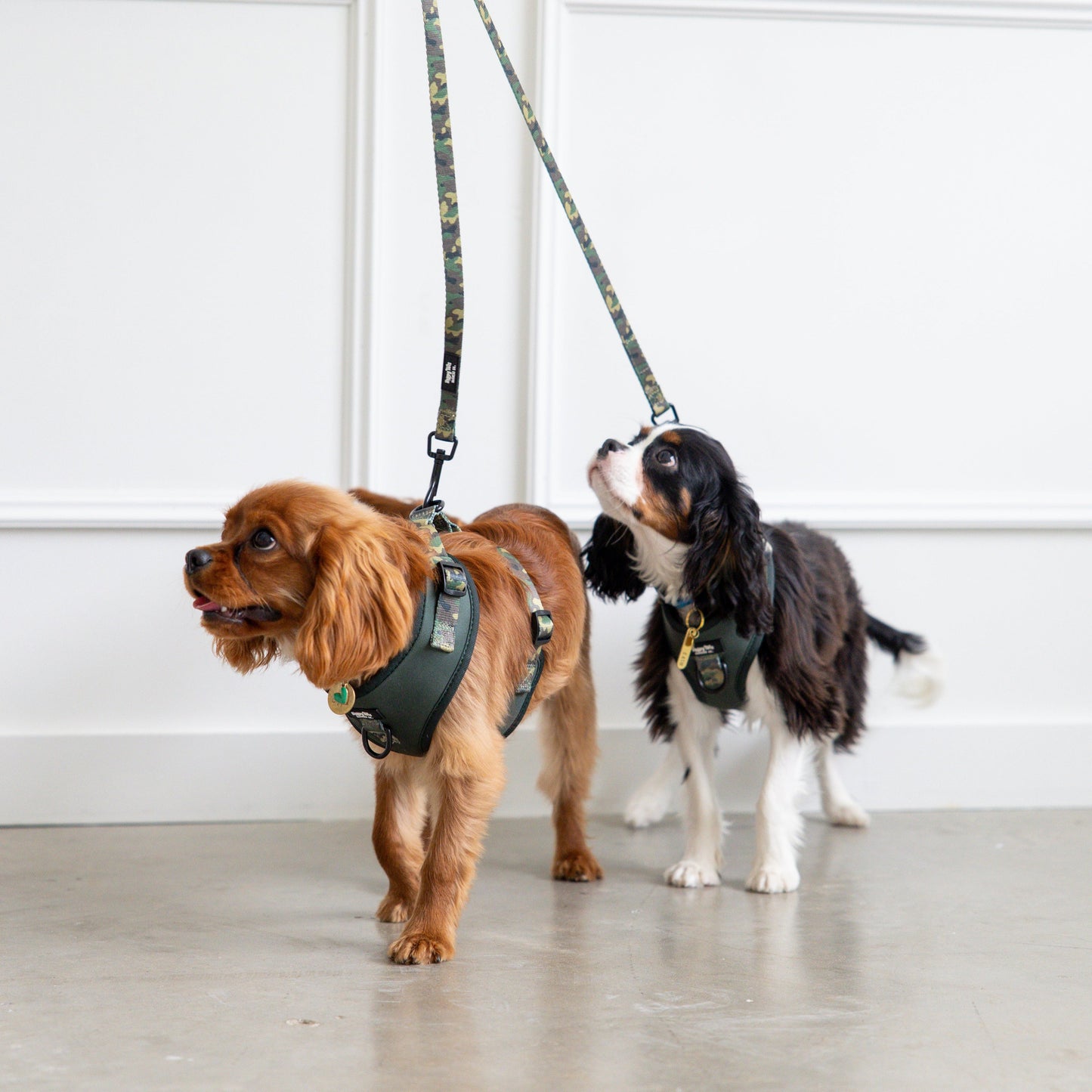 Camo Canine Leash