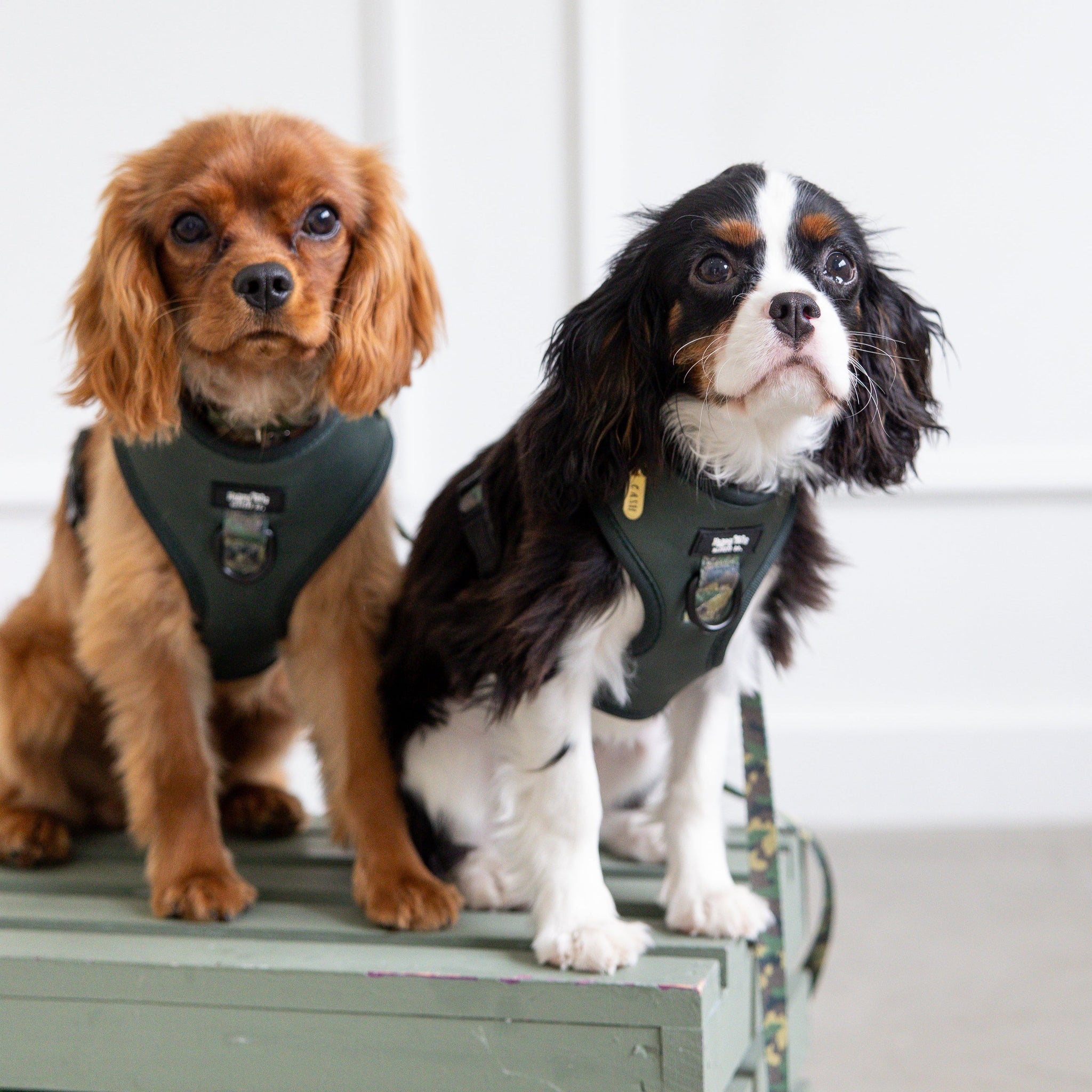 Camo Canine Adjustable Harness