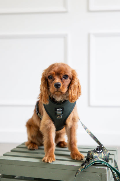 Camo Canine Poop Bag Holder