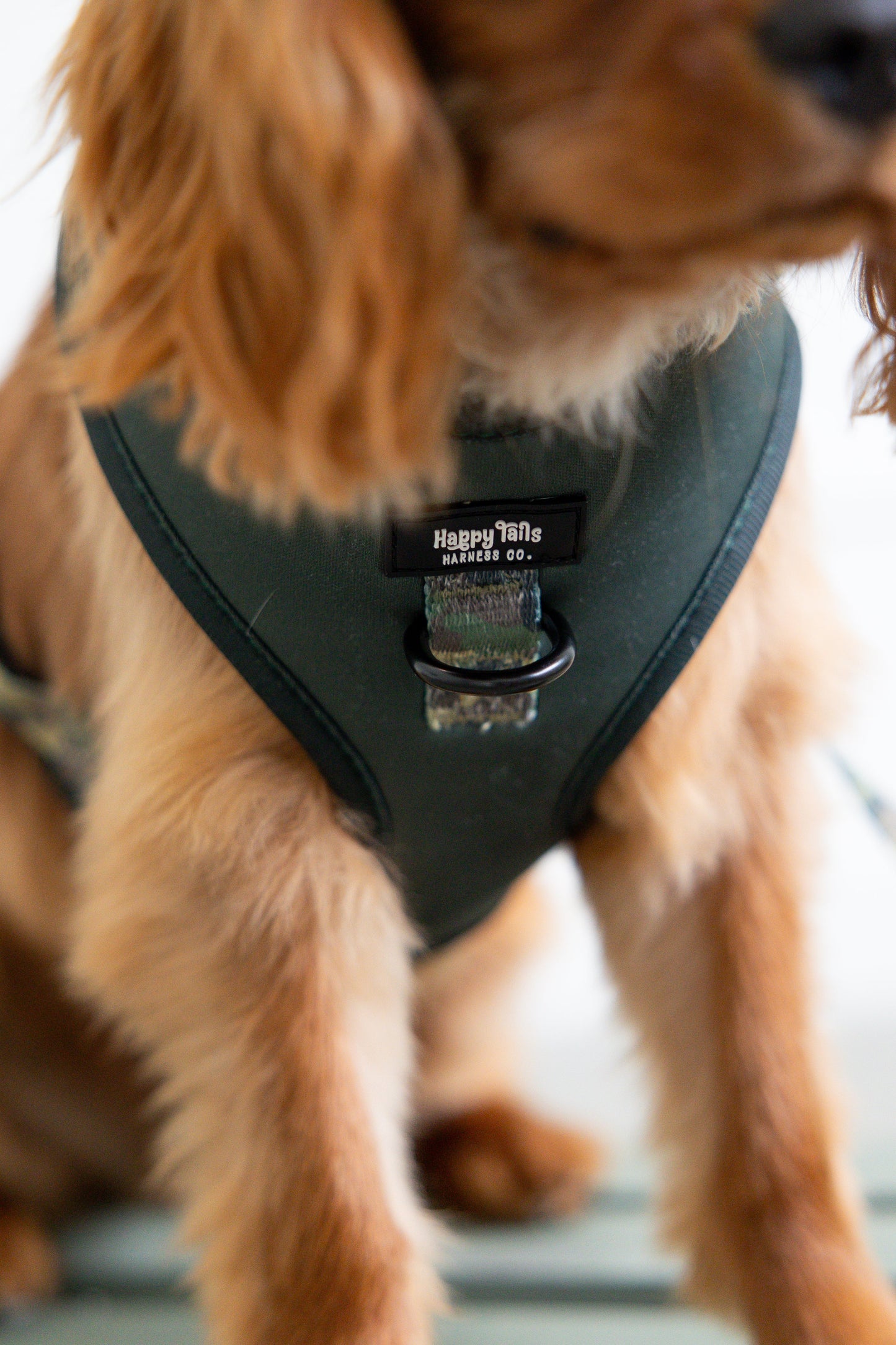 Camo Canine Adjustable Harness