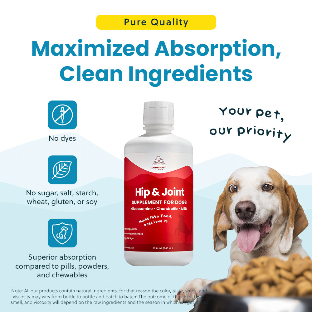 Liquid Glucosamine for Dogs