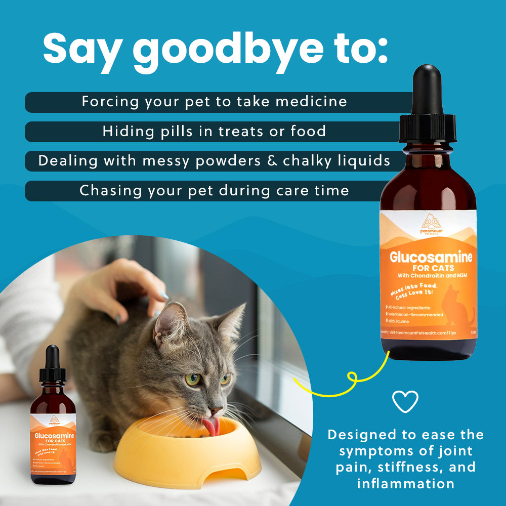 Liquid Glucosamine For Cats