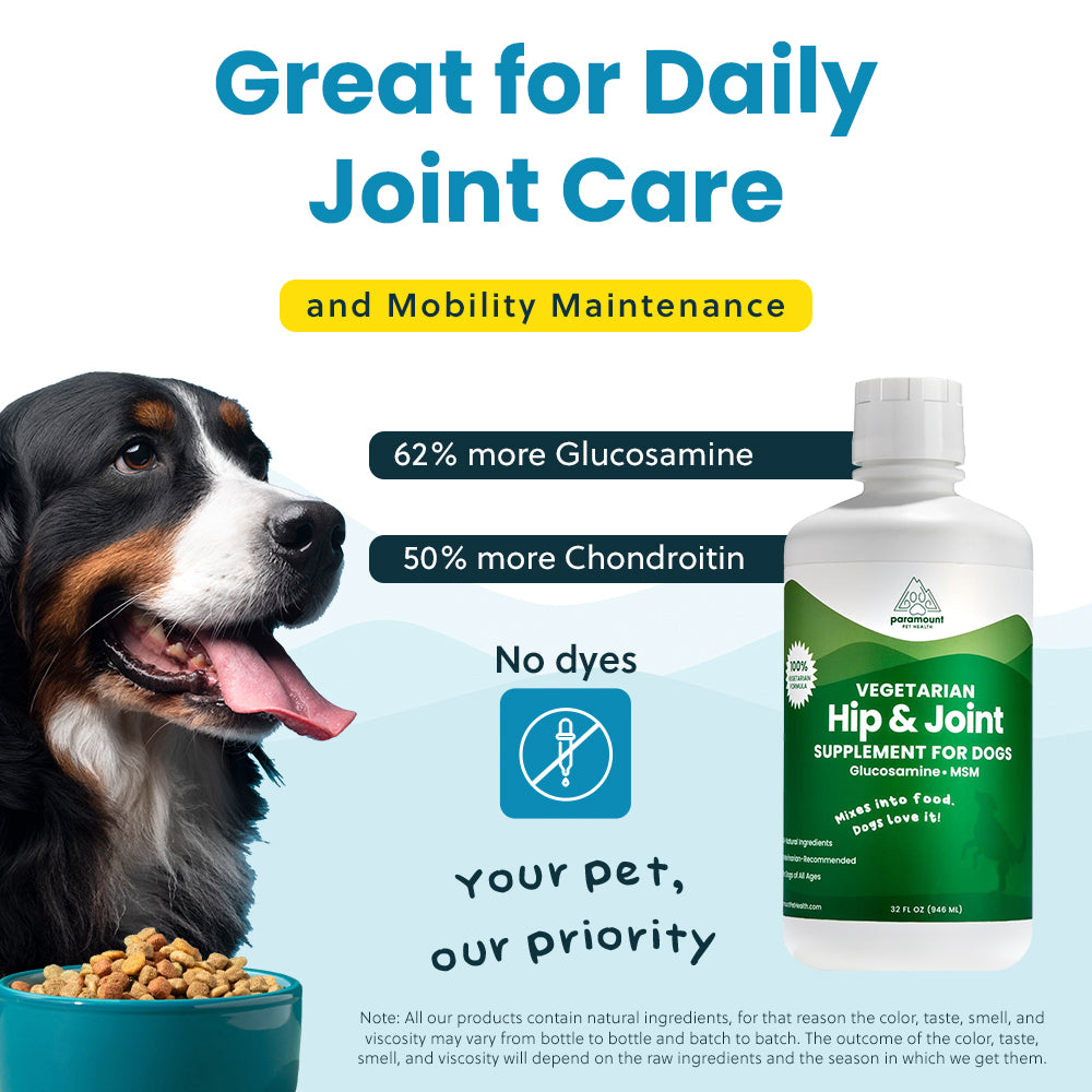 Vegetarian Glucosamine For Dogs