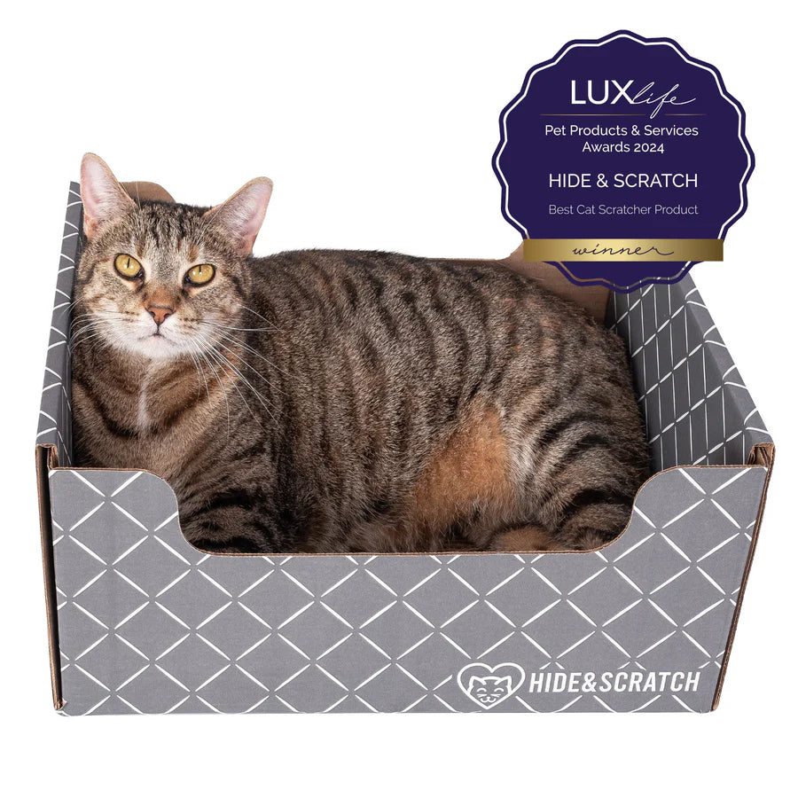Hide & Scratch Extra-Large Cat Scratcher Box (Case of 15)