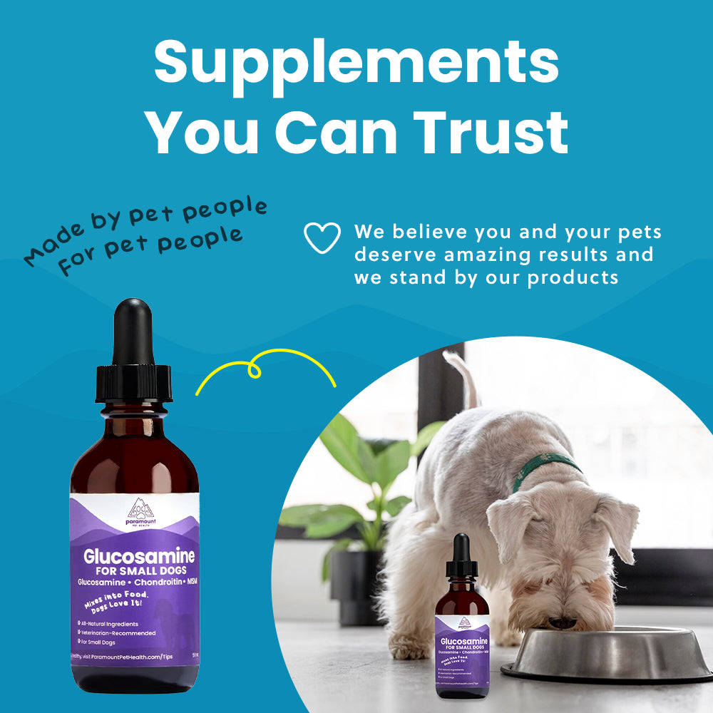 Liquid Glucosamine For Small Dogs