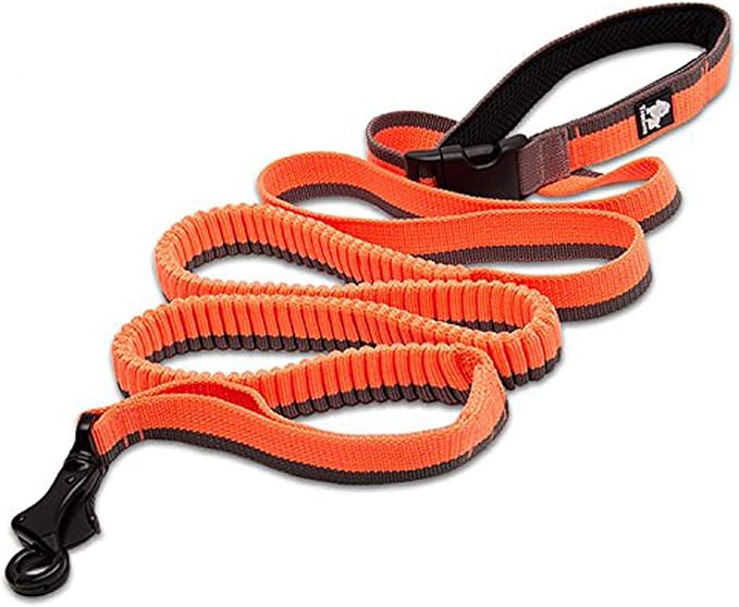 Truelove Nylon Bungee Dog Leash - TLL2271