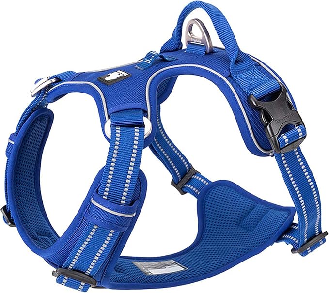 TRUE LOVE Dog Harness - TLH56512