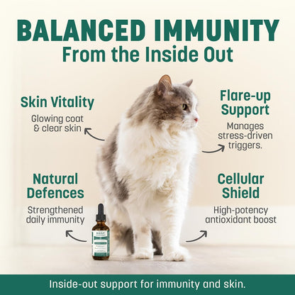 Daily Immunity Support High Potency Daily Immune & Allergy Support for Dogs & Cats (Box of 24)