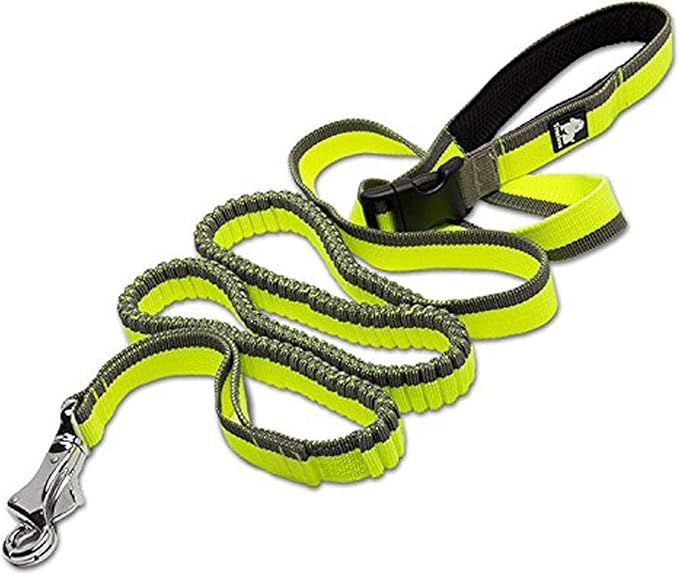 Truelove Nylon Bungee Dog Leash - TLL2271