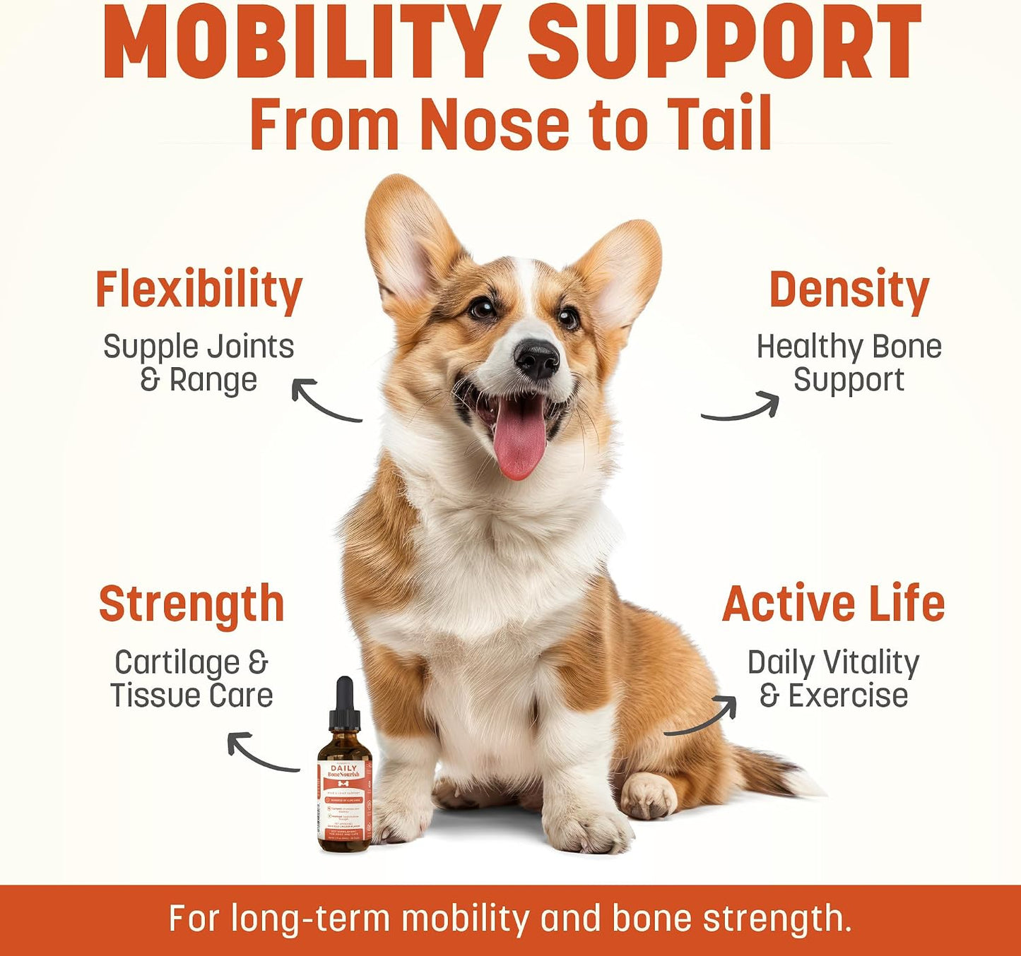 Daily Bone Nourish High Potency Daily Bone & Joint Supplement for Dogs & Cats (Box of 24)