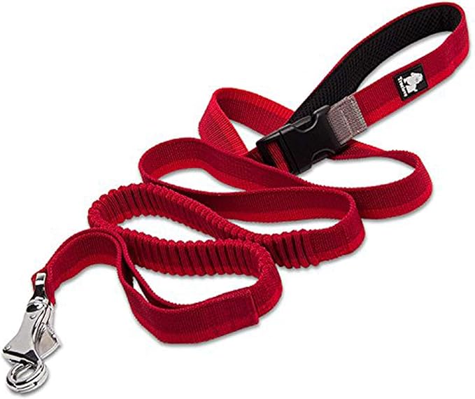 Truelove Nylon Bungee Dog Leash - TLL2271
