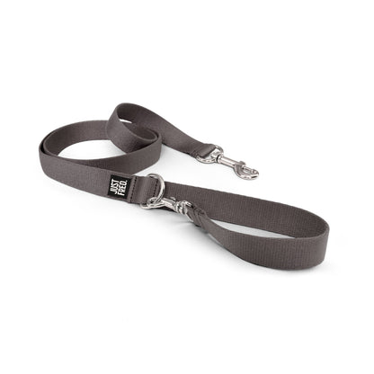 Dog Leash