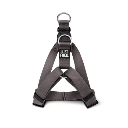 Step In Harness