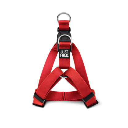 Step In Harness