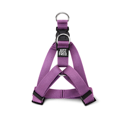 Step In Harness