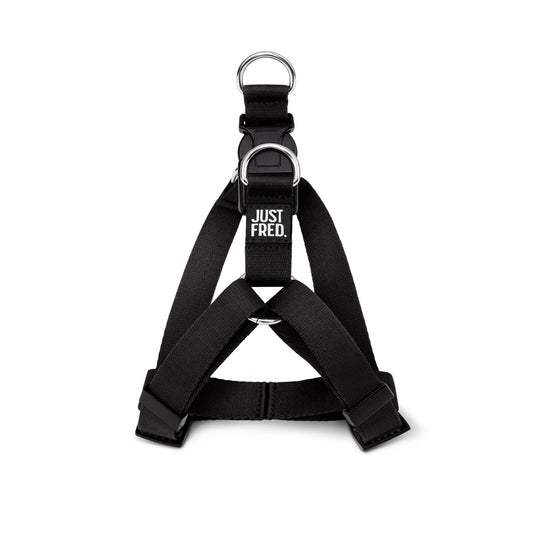 Step In Harness