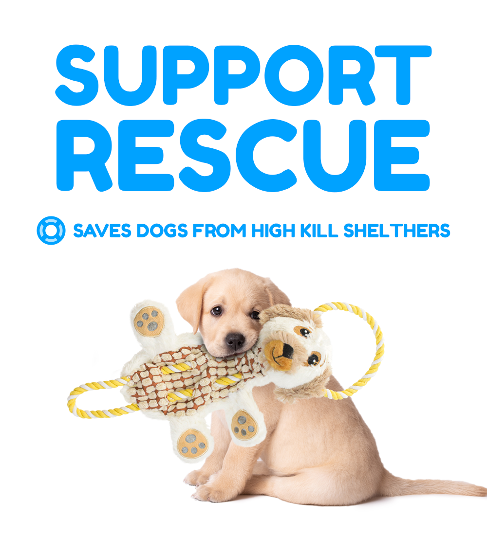 Rescue Rovers: Roscoe (for Small and Medium Dogs)