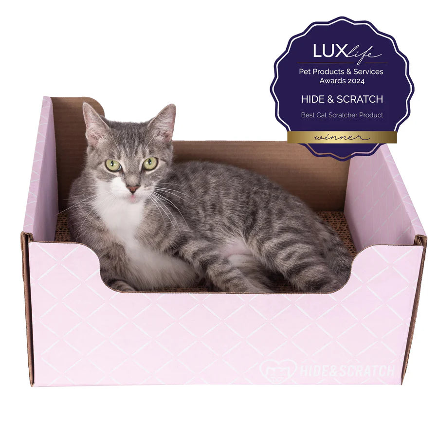 Hide & Scratch Extra-Large Cat Scratcher Box (Case of 15)