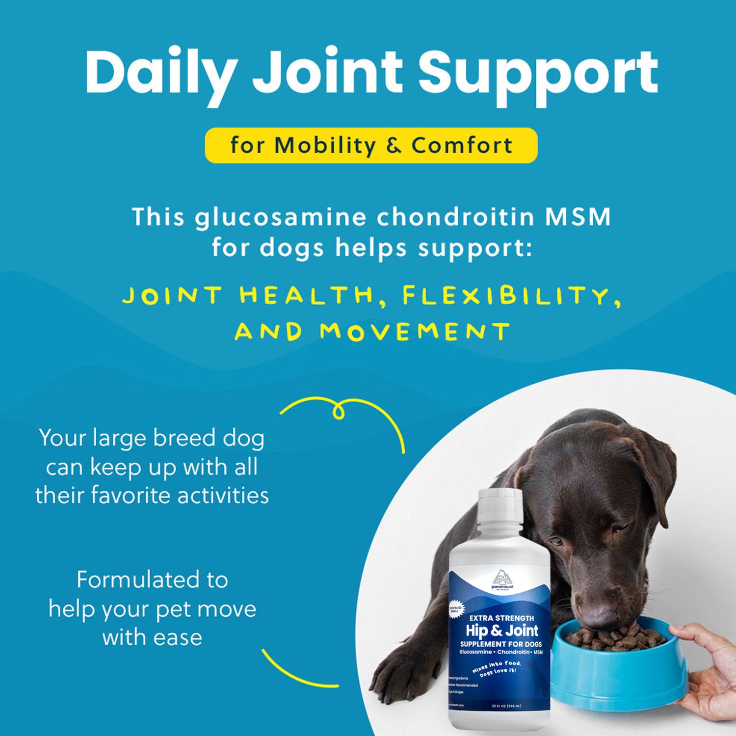 Liquid Glucosamine For Large Dogs
