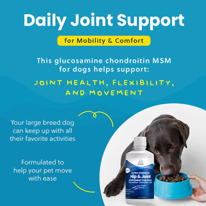 Liquid Glucosamine For Large Dogs