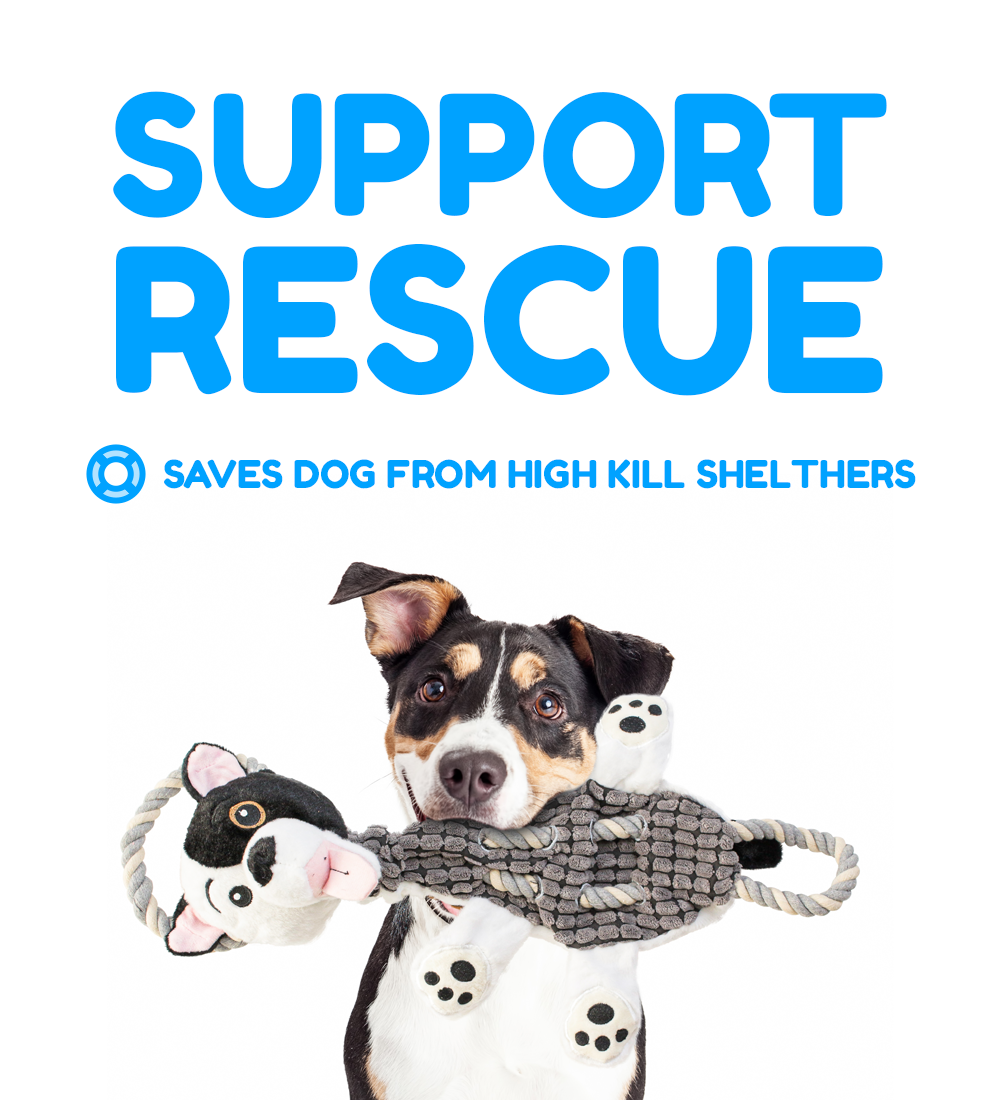 Rescue Rovers: Reese (for Medium and Large Dogs)