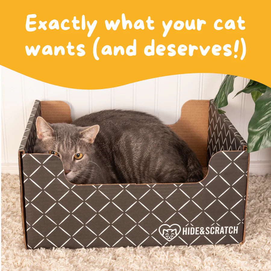 Hide & Scratch Extra-Large Cat Scratcher Box Value Pack (Box + 3 Scratchers) (Case of 7)